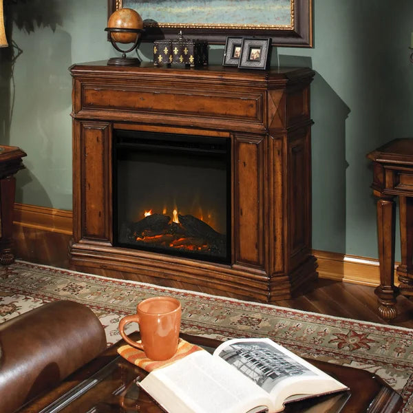19'' W Electric Fireplace Insert