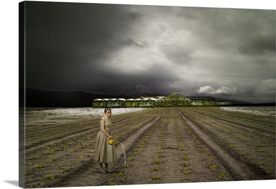 20" H x 30" W x 1.5" D 1X Photography The Farm by Christine Von Diepenbroek - Photograph KB1019