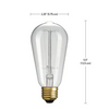 60-Watt Incandescent S60 Vintage Squirrel Cage Medium Base Light Bulb
