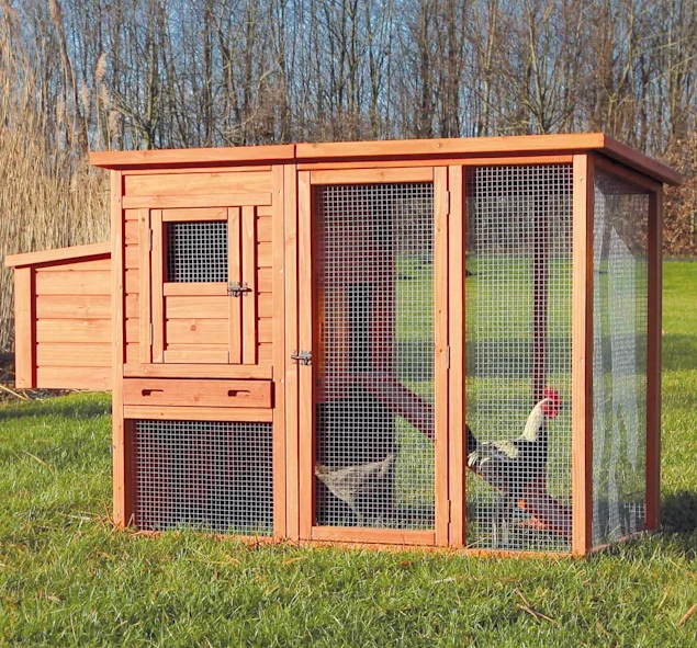 Trixie Natura Flat Roof Chicken Coop with Outdoor Run CA212