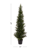 60 in. Artificial Cedar Topiary KB1328-A5-B4-P2