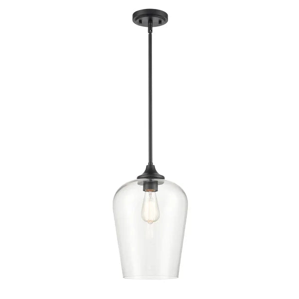 1 Light 10 In. Matte Black Mini-Pendant