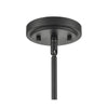 1 Light 10 In. Matte Black Mini-Pendant