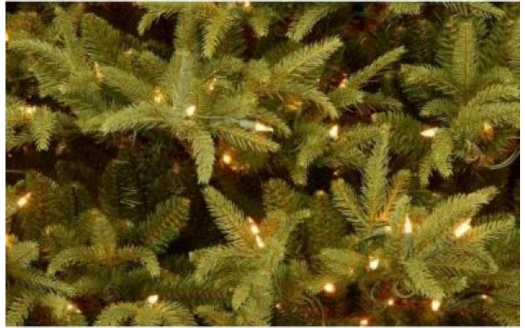 7.5 ft. Frasier Grande Artificial Christmas Tree with Clear Lights