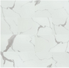 Carrara Luciano 11.81 in. W x 23.62 in. L Rigid Core Click Lock Luxury Vinyl Tile Flooring (19.37 sq. ft./case) (3 cases)