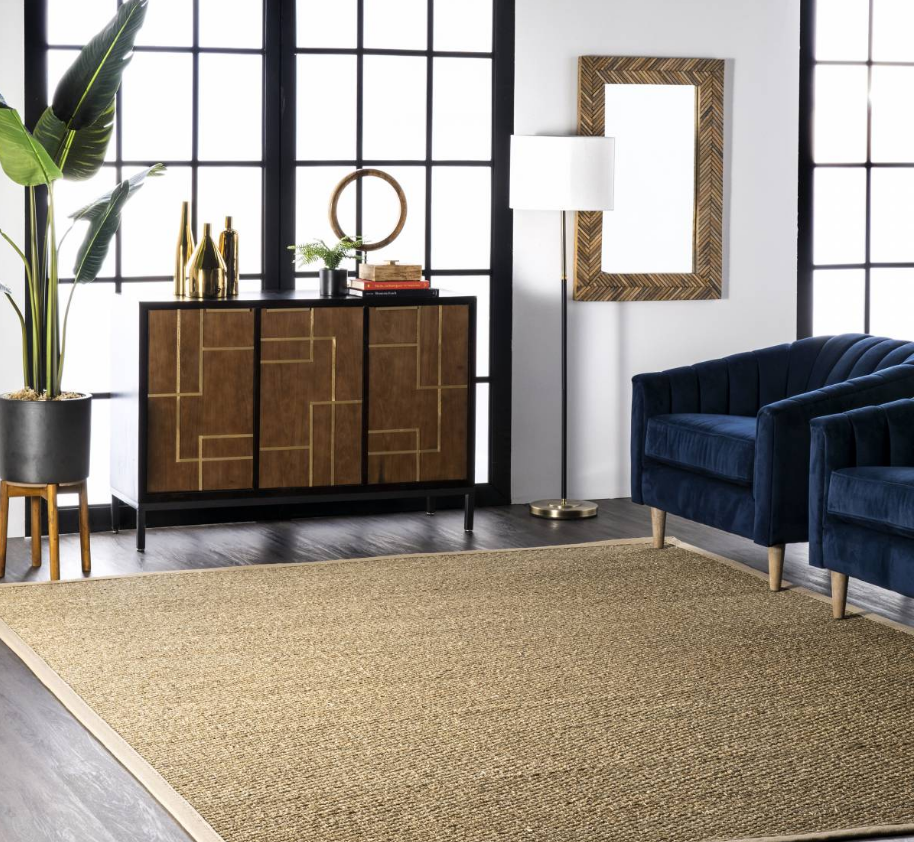 Beige Seagrass with Border 3' x 5' Area Rug