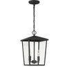 2 Light 9 Inch Modern Farmhouse Rustic Outdoor Pendant Chandelier-UL