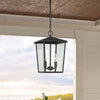 2 Light 9 Inch Modern Farmhouse Rustic Outdoor Pendant Chandelier-UL