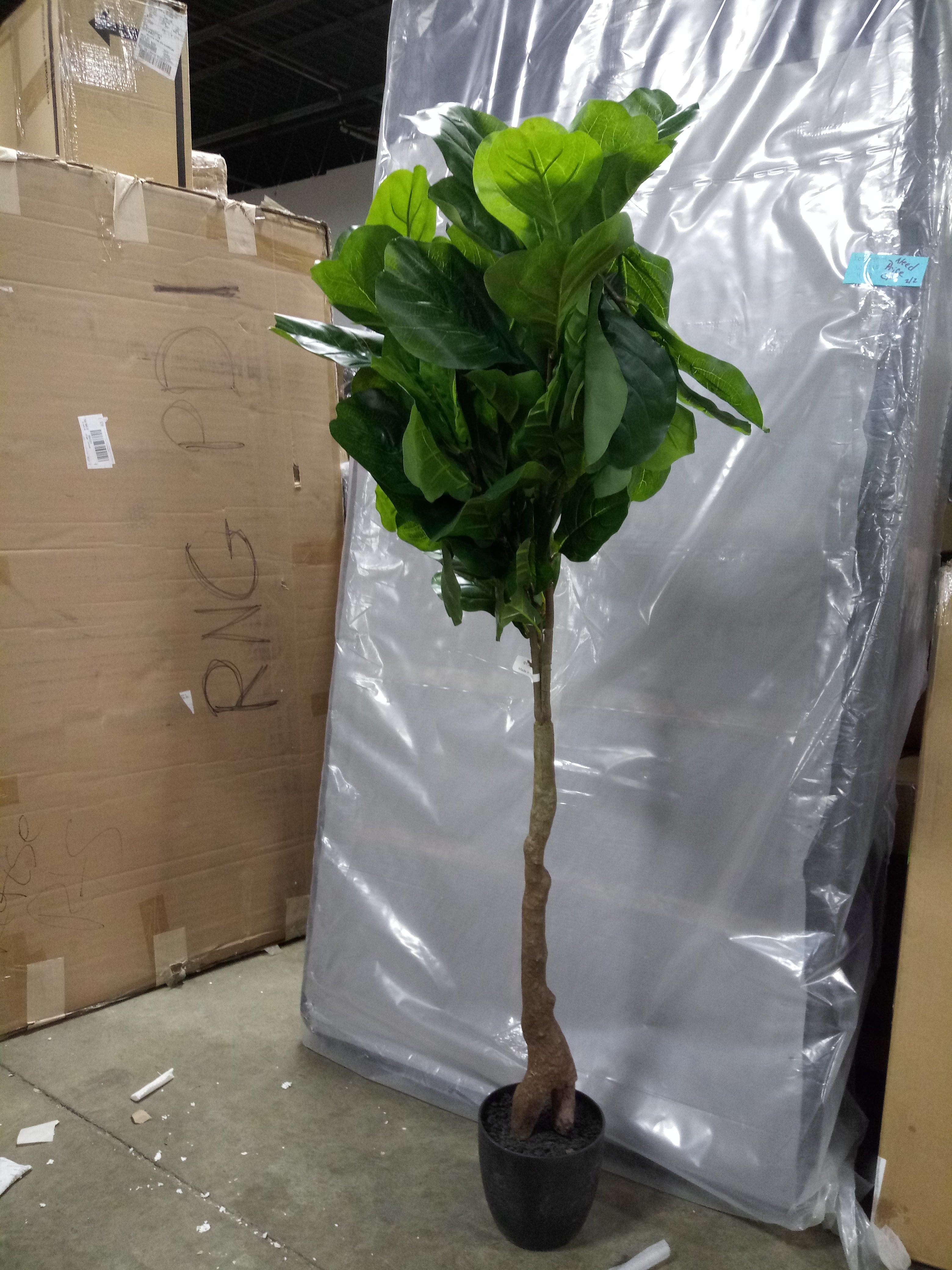 72" Artificial Fiddle Leaf Fig Tree in Pot JJ840