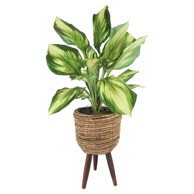 22" Artificial Foliage Plant In Basket HAB242