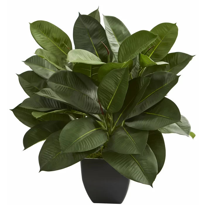 23" Artificial Ficus Plant in Planter
