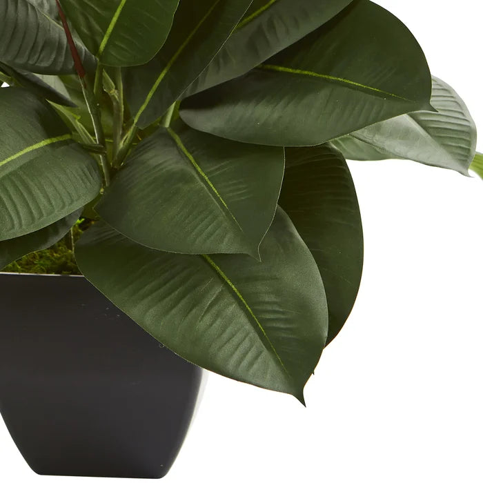 23" Artificial Ficus Plant in Planter
