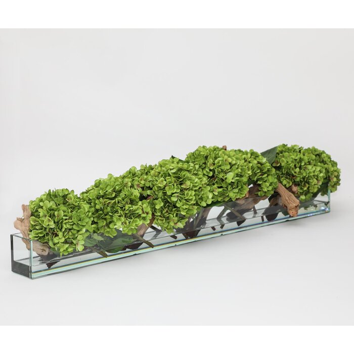 24" Casa Moderna Glass Plate Planter With White Hydrangeas And Driftwood