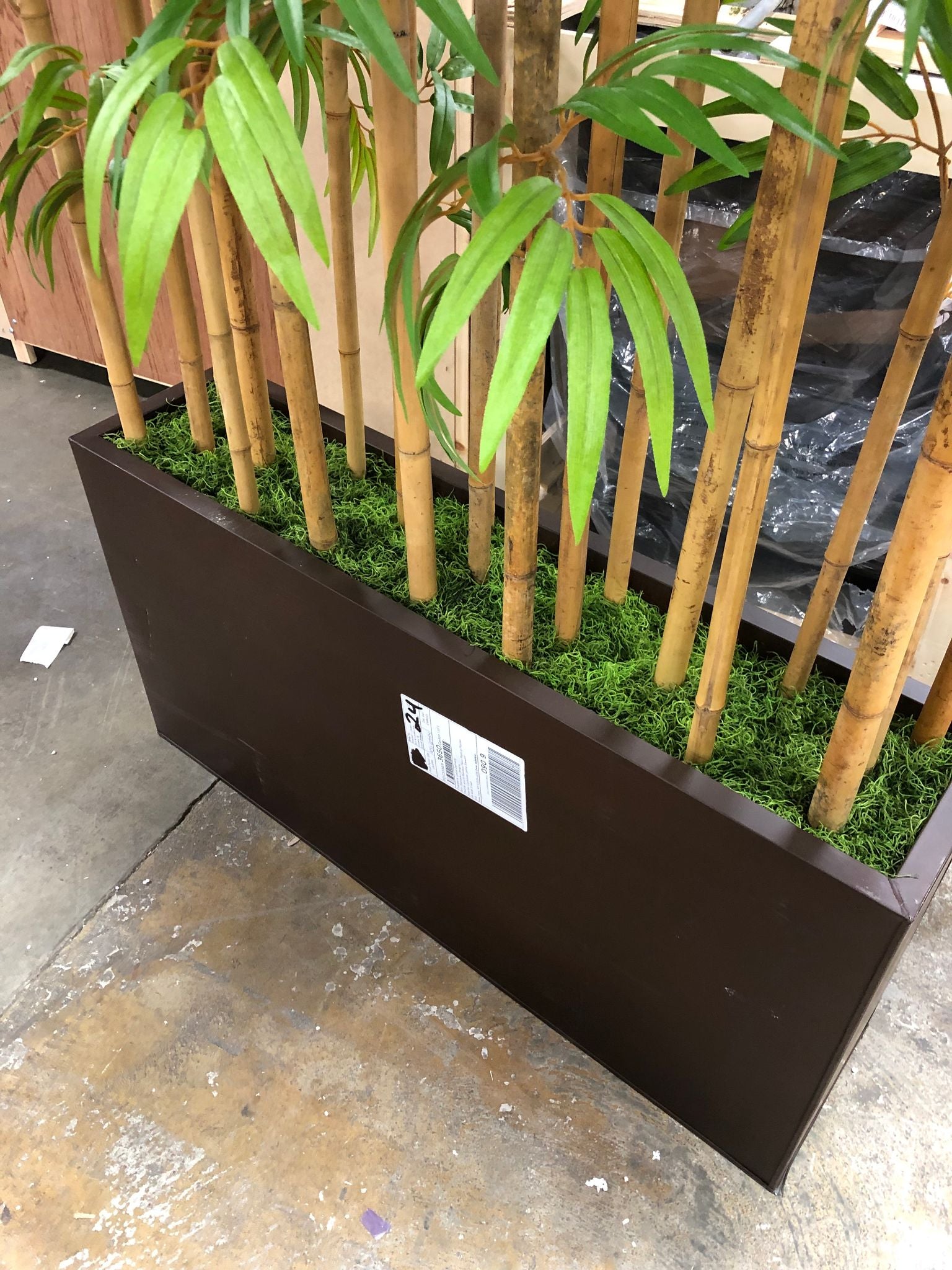 Bamboo Floor Plant in Planter MGO114
