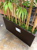 Bamboo Floor Plant in Planter MGO114