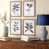 Load image into Gallery viewer, &#39;Aba Botanical Wall Decor&#39; 4 Piece Picture Frame Graphic Art Set #HA16