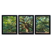Load image into Gallery viewer, &#39;Angel Oak Charleston&#39; 3 Piece Framed Photographic Print Set on Canvas (#5A)
