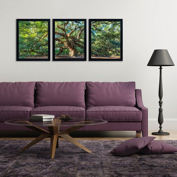 'Angel Oak Charleston' 3 Piece Framed Photographic Print Set on Canvas (#5A)