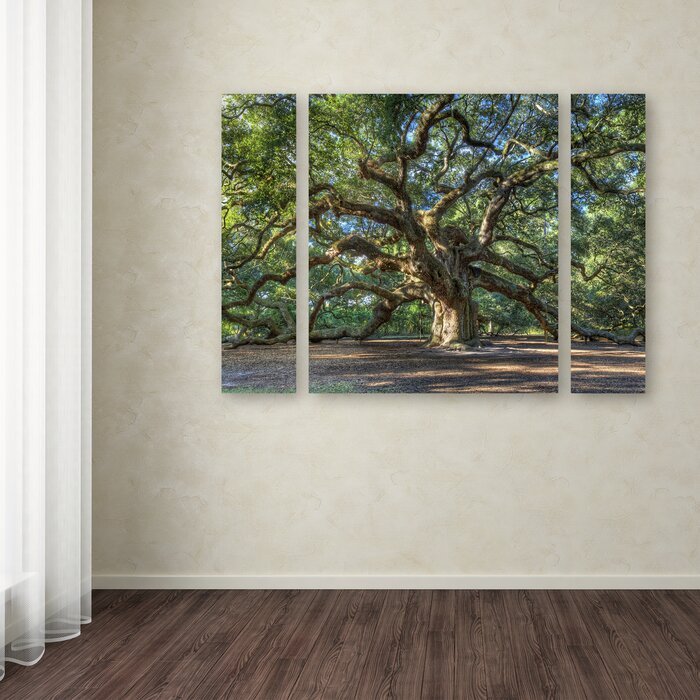 'Angel Oak Charleston' 3 Piece Photographic Print - 24" x 32" (#K1388)
