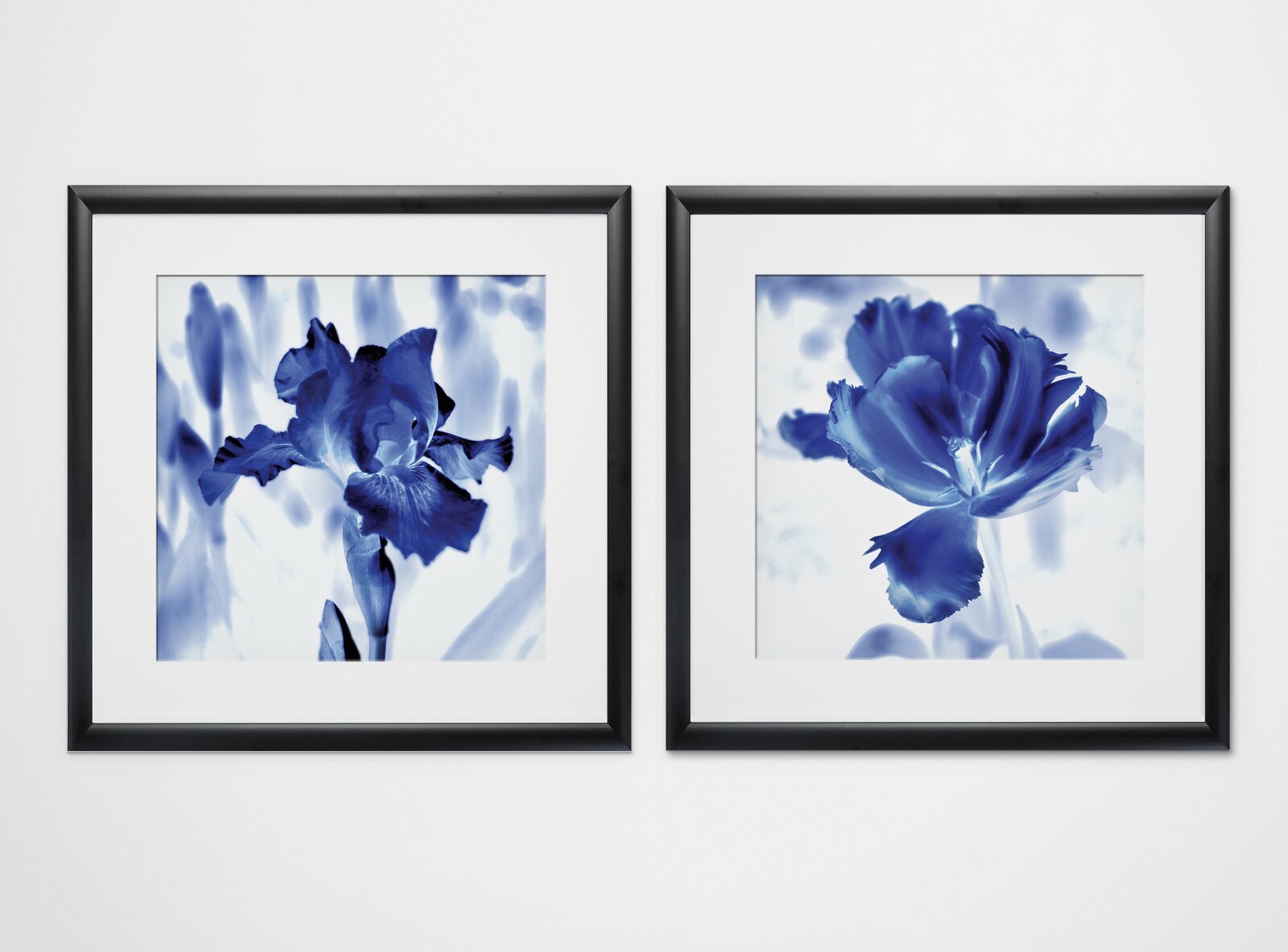'Blue Ice Iris' - 2 Piece Picture Frame Painting Print Set on Paper TTR574