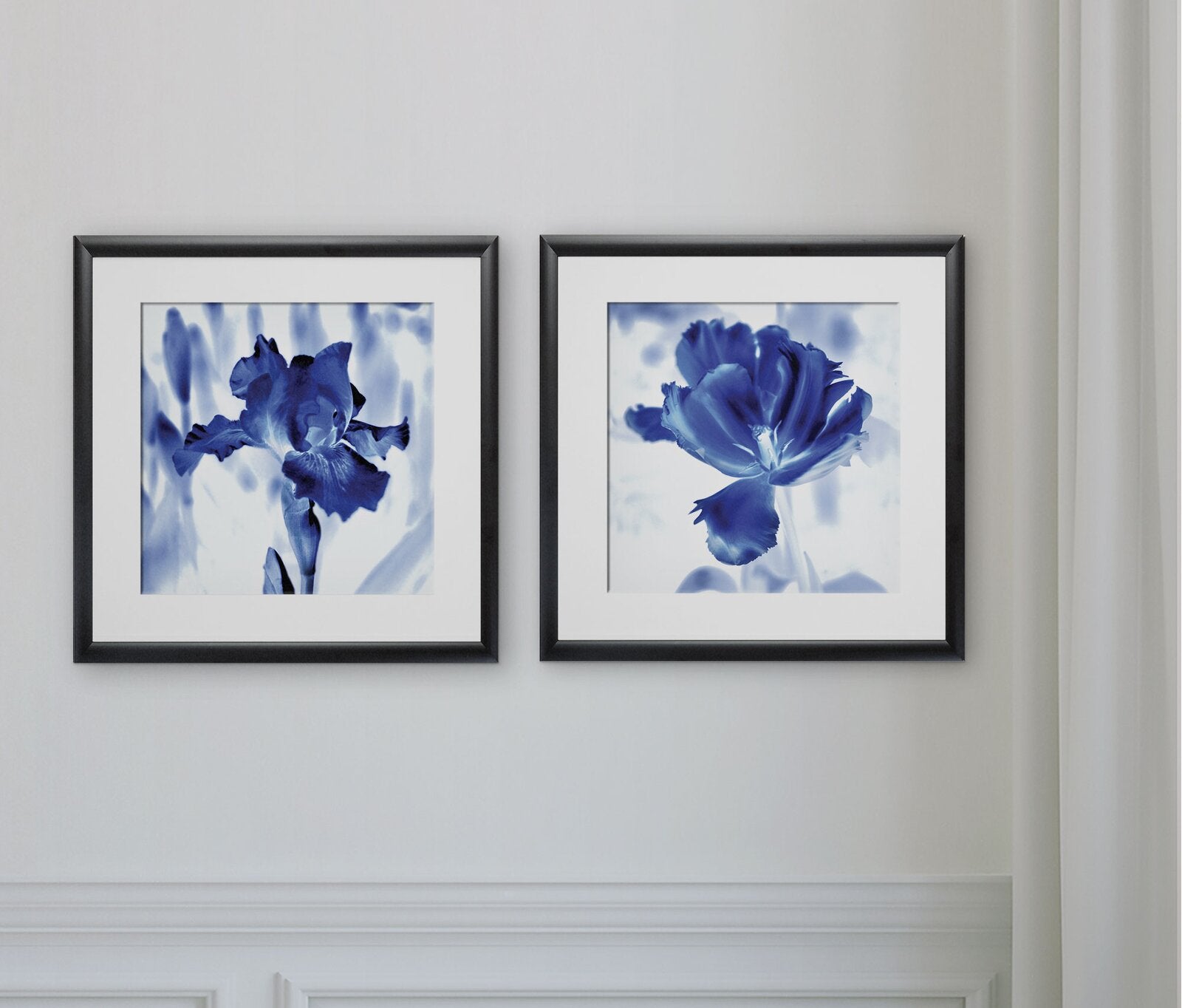 'Blue Ice Iris' - 2 Piece Picture Frame Painting Print Set on Paper TTR574