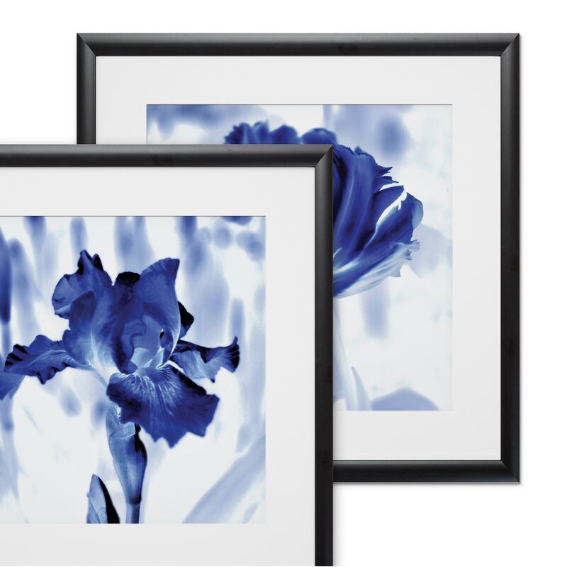 'Blue Ice Iris' - 2 Piece Picture Frame Painting Print Set on Paper TTR574