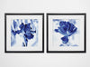 'Blue Ice Iris' - 2 Piece Picture Frame Painting Print Set on Paper TTR574