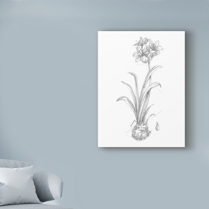 'Botanical Sketch II' Drawing Print on Wrapped Canvas - 19" x 14" (#K1171)