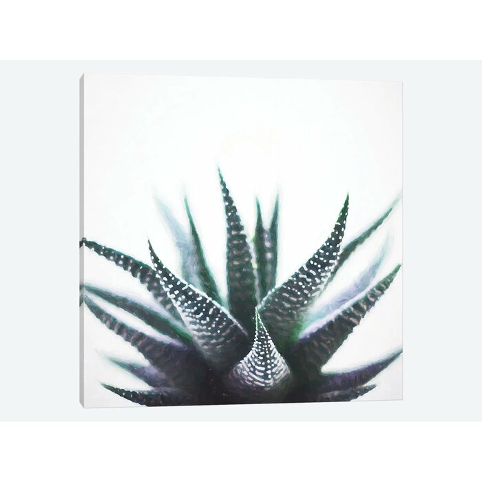 'Green Topaz Plant' by 83 Oranges - Wrapped Canvas Graphic Art Print LX5250