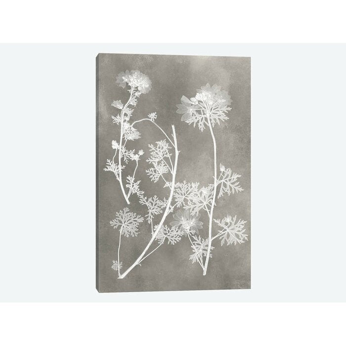 'Herbarium Study IV' - Wrapped Canvas Graphic Art Print EJ438