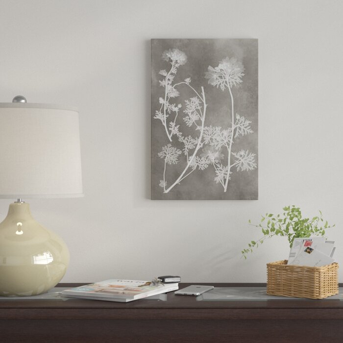 'Herbarium Study IV' - Wrapped Canvas Graphic Art Print EJ438