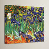 'Irises' by Vincent Van Gogh Oil Painting Print on Canvas K7153