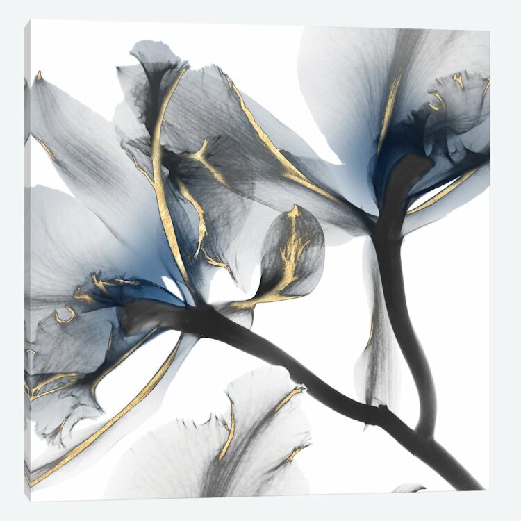 'Luster Cyclamen II' Graphic Art Print on Canvas CL741