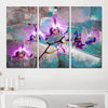 'Painted Petals XIX' - 3 Piece Wrapped Canvas Print Set EJ858