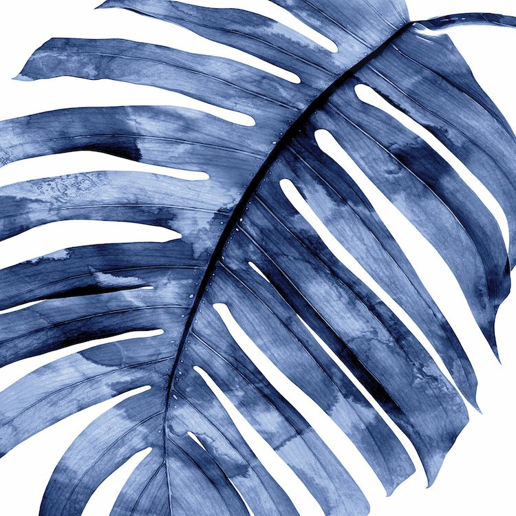 'Palm Close up II' Graphic Art Print on Canvas in Indigo CL412