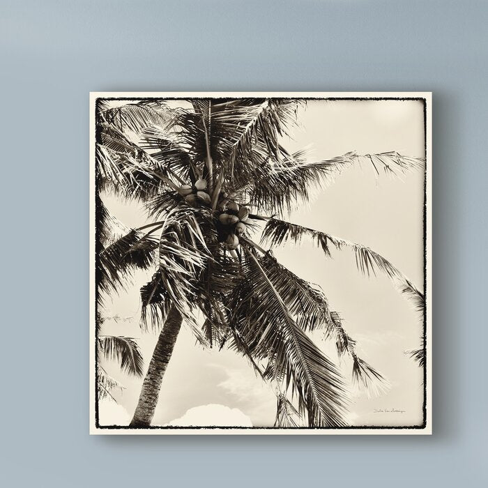 'Palm Tree Sepia II' Photographic Print on Wrapped Canvas LX4763