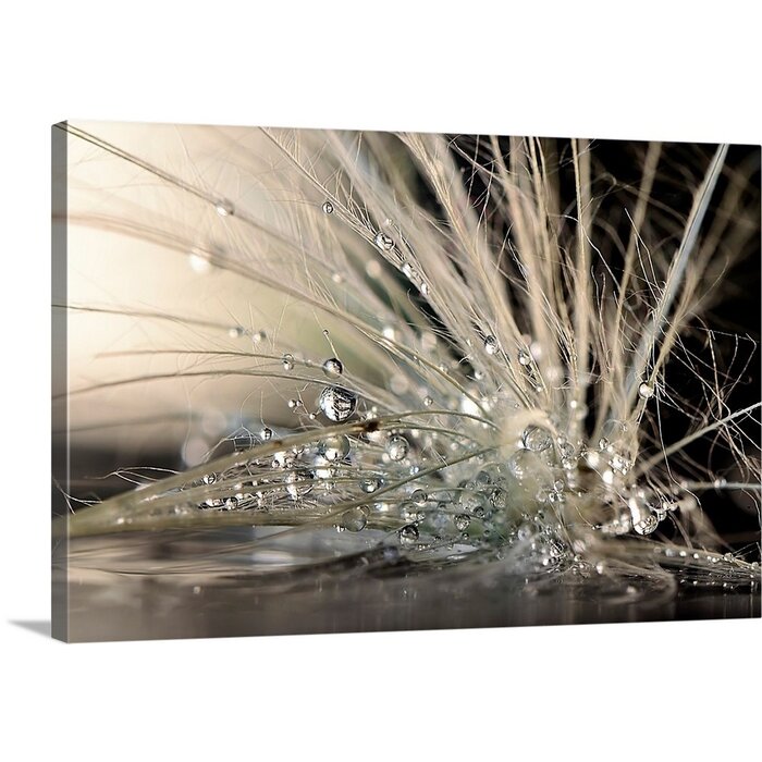 'Pearls by Maryam Zahirimehr Photographic Print EE414