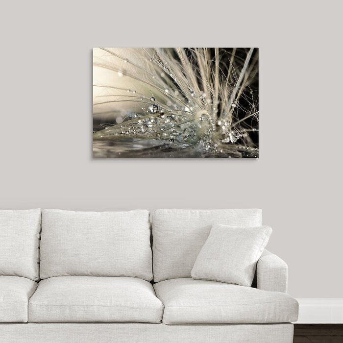'Pearls by Maryam Zahirimehr Photographic Print LX4738