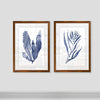 Blue 'Seaweed Under Water III' by Vincent Van Gogh - 2 Piece Picture Frame Painting Print Set (Set of 2) EJ837