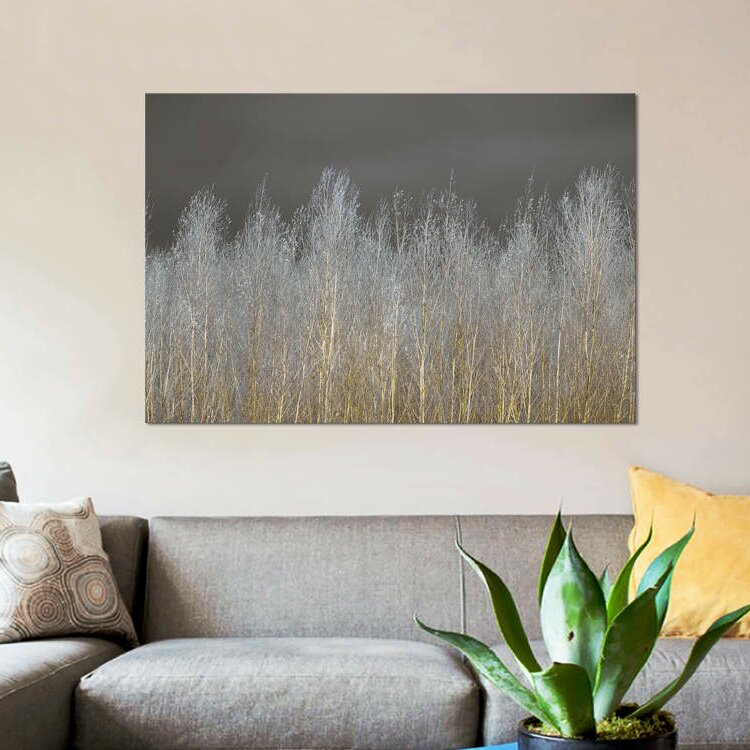 26" H x 40" W x 0.75" D Gray;Grey;Silver;Sycamore;Dingley Green 'Silver Forest' Print on Canvas CL735