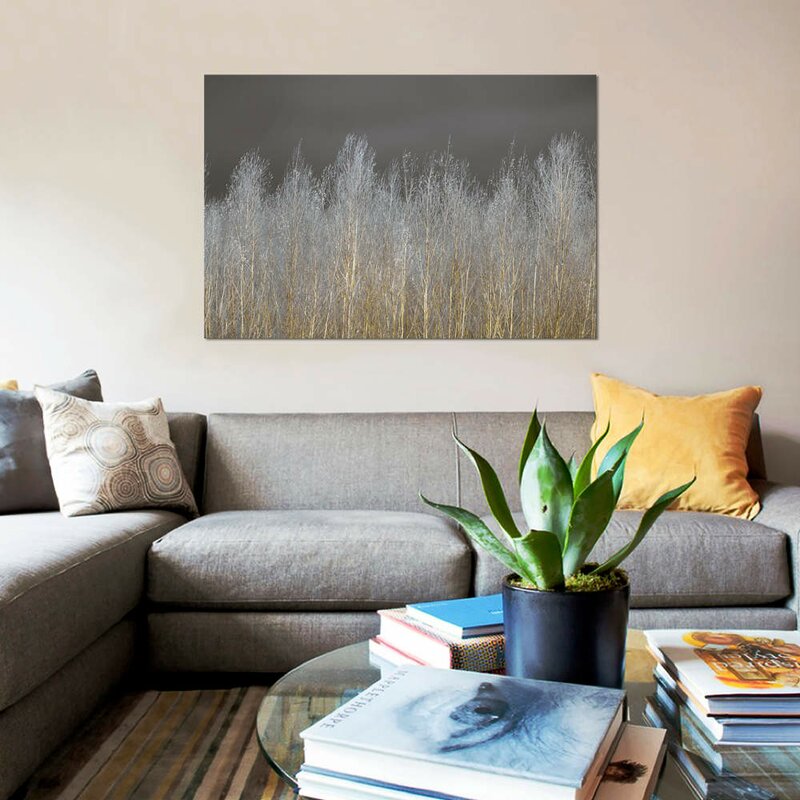 26" H x 40" W x 0.75" D Gray;Grey;Silver;Sycamore;Dingley Green 'Silver Forest' Print on Canvas CL735