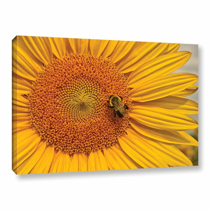 'Sunflower with Honey Bee' Photographic Print on Wrapped Canvas - 8" x 12" (#K5871)