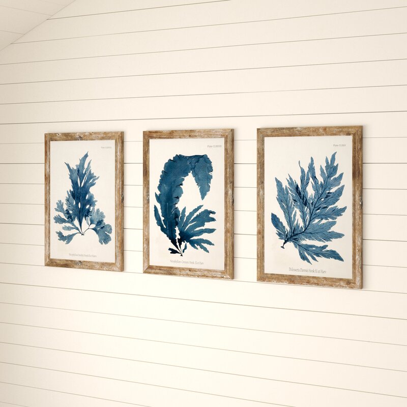'Vintage Fronds' - 3 Piece Picture Frame Graphic Art Print Set on Paper QL173
