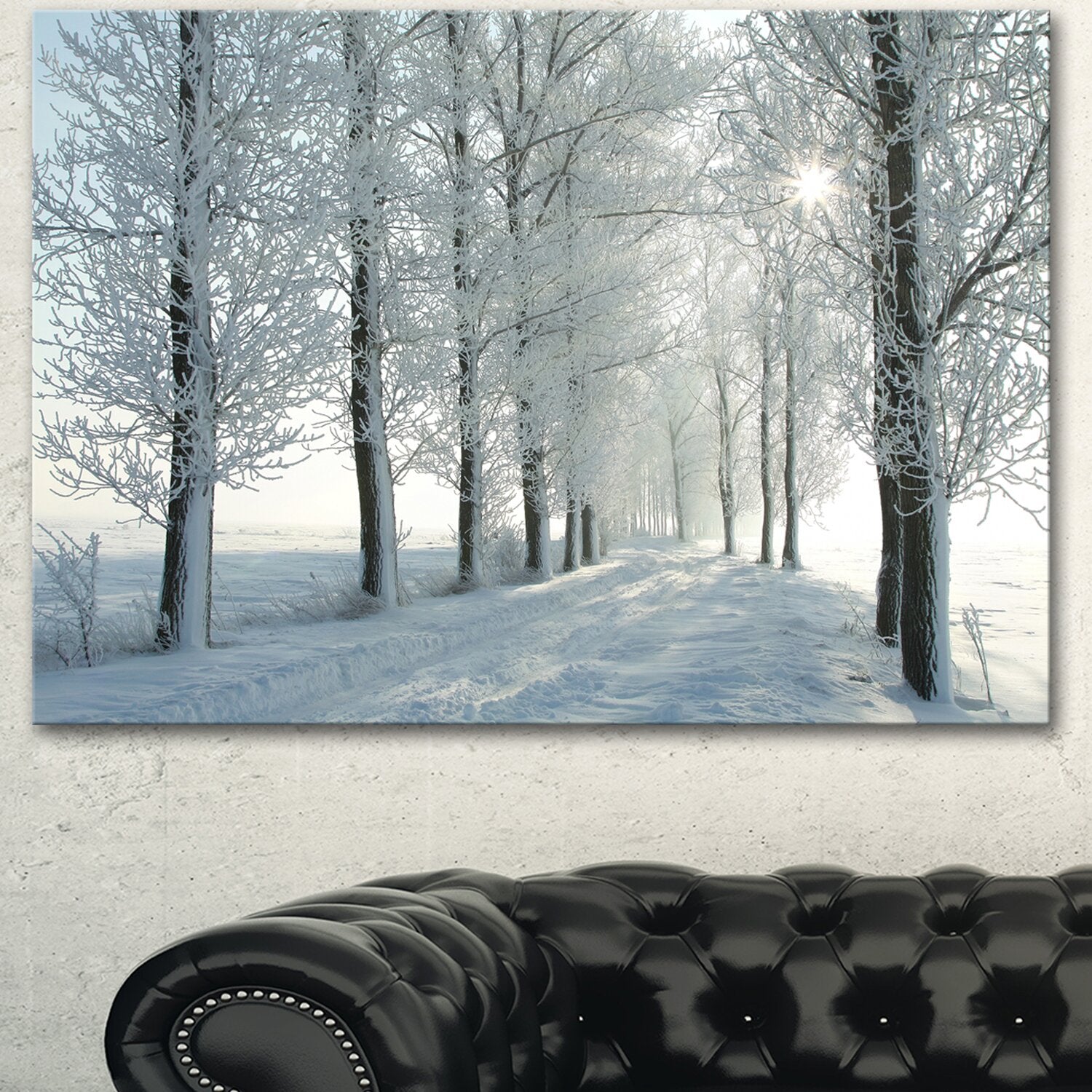 8" H x 12" W x 1" D White 'Winter Trees Backlit by Morning Sun' Photographic Print on Wrapped Canvas K6910