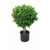 2 - Piece Hedyotis Boxwood Topiary in Planter (Set of 2)