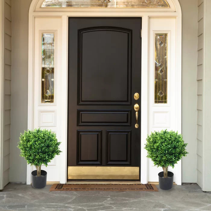 2 - Piece Hedyotis Boxwood Topiary in Planter (Set of 2)