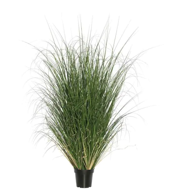 36 in. Green Curled Everyday Grass in Pot, set of 2