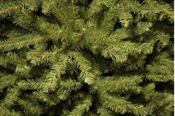 7.5 ft. Dunhill Fir Hinged Artificial Christmas Tree