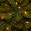 6.5 ft. Downswept Douglas Pencil Slim Fir Artificial Christmas Tree with Dual Color LED Lights