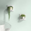 2 Piece Wall Shelf Set (Set of 2) LX4476